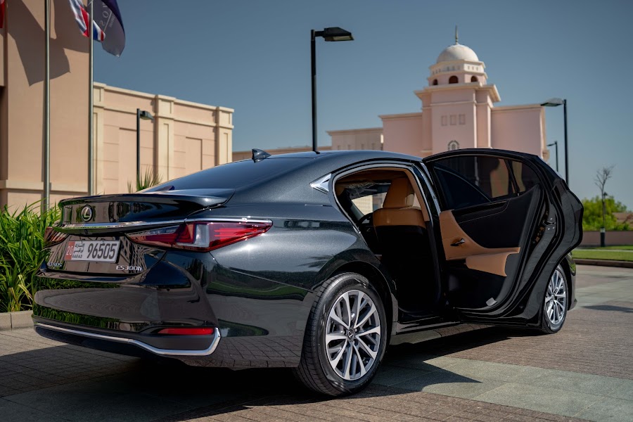 Patriot Limousine — photo 4