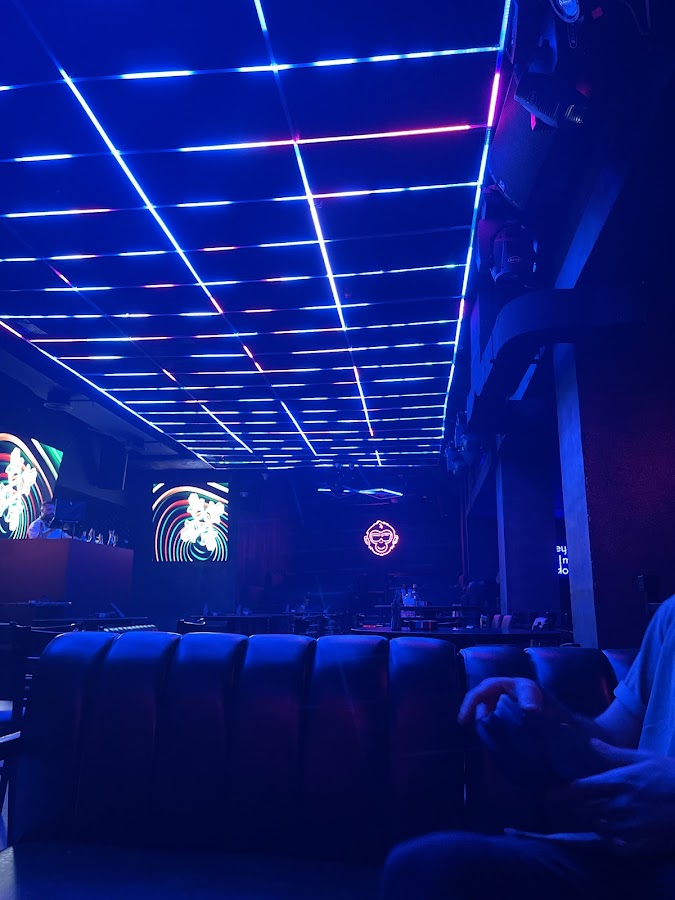 WIZE MONKEY ABU DHABI — photo 3