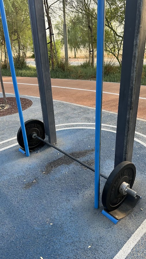 Personal Trainer, Yoga & Calisthenics Classes — photo 2