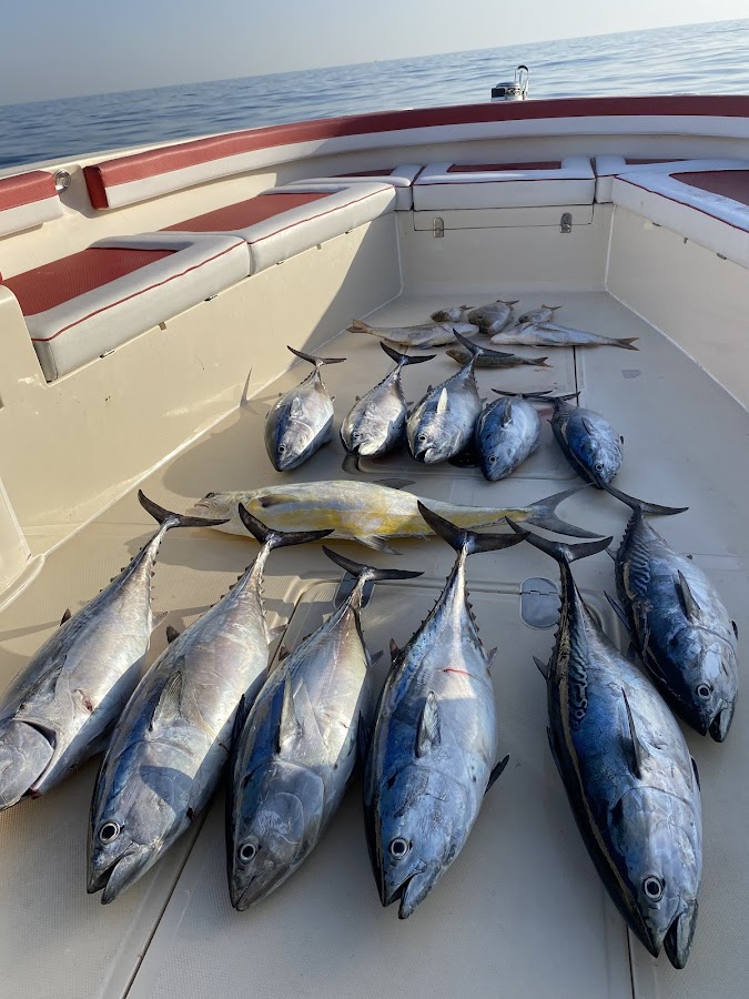 ProAnglers Charter — photo 2