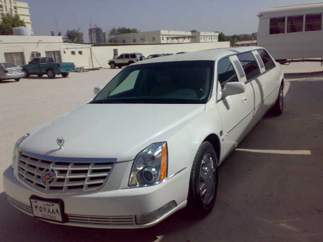 Limousineindoha — photo 1