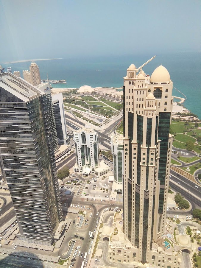 Palm Tower B — photo 5