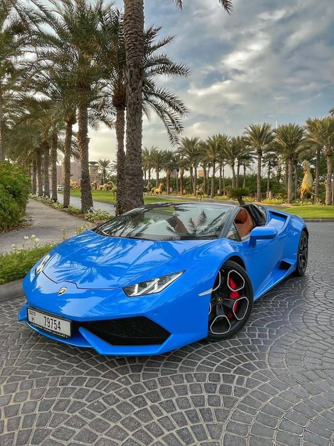 Indus Chauffeur Services Dubai — photo 3