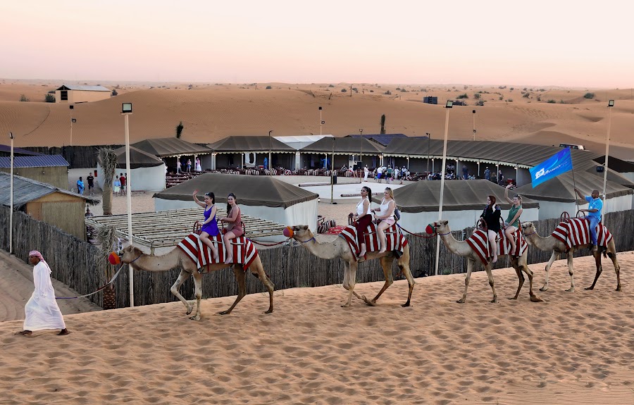 Al Khayma Camp “Elite Camping & Dining Experience.” — photo 2