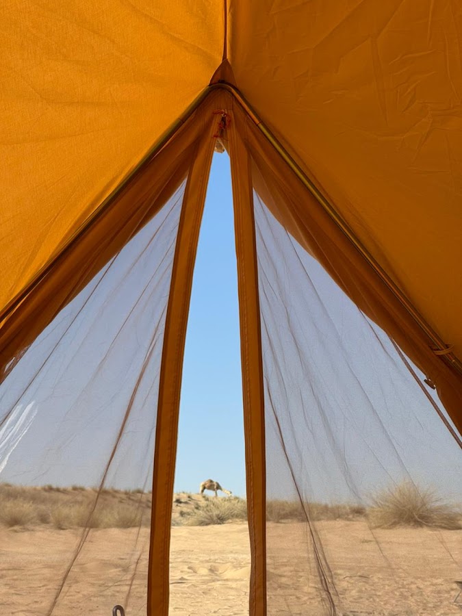 Nomadic Camping — photo 2