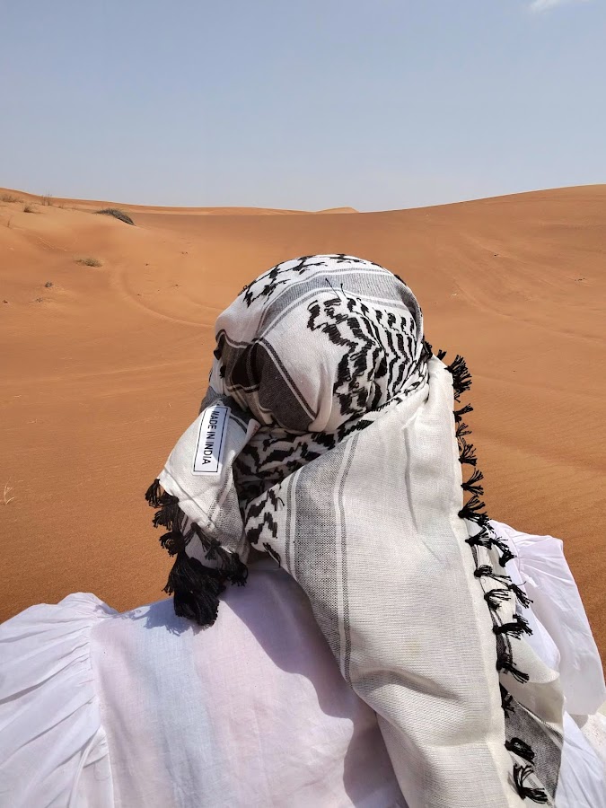 Dubai Private Adventure | Luxury VIP Morning & Evening Desert Safari Tour | Prem — photo 3