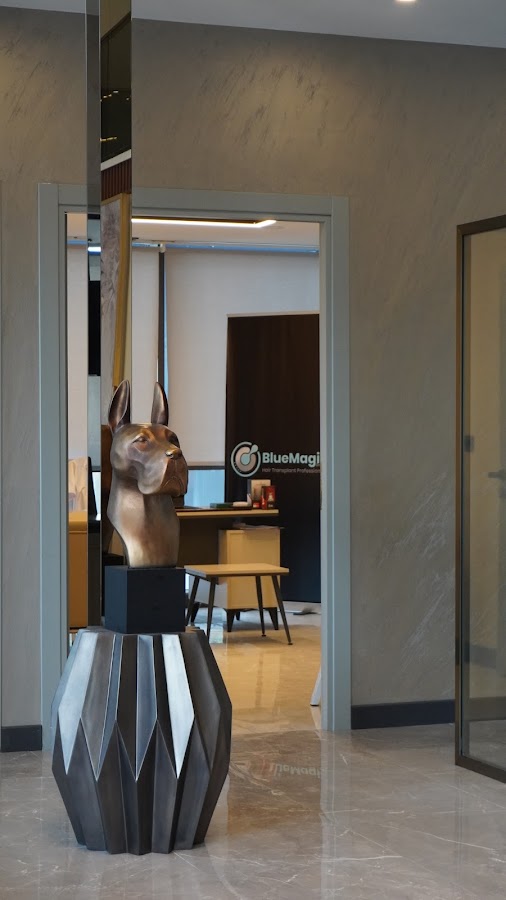 BlueMagic Group Clinic | Hair Transplant & Dental Experts in Dubai