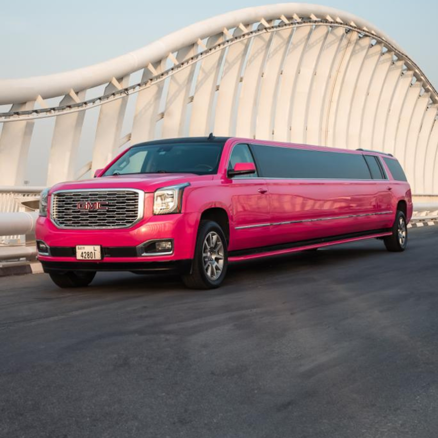 Skye VIP Limo & Car Rental — photo 5