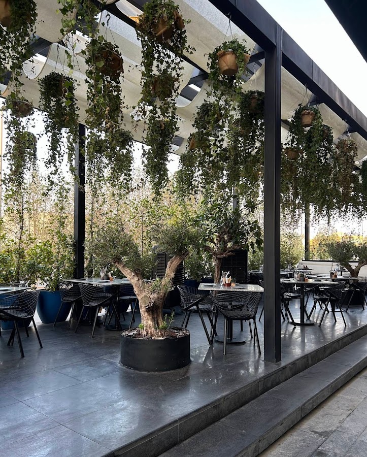Lazy Cat Jeddah pop-up
