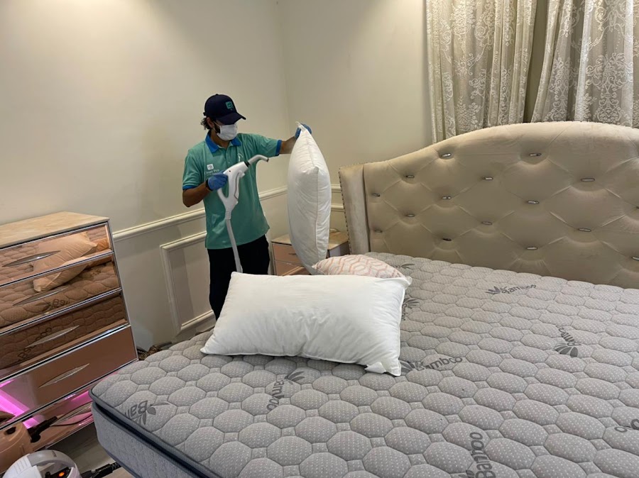 Clean Pro — photo 2