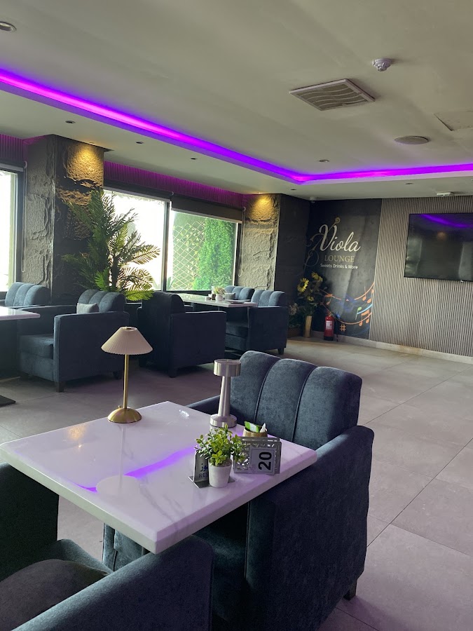 Viola Lounge — photo 2