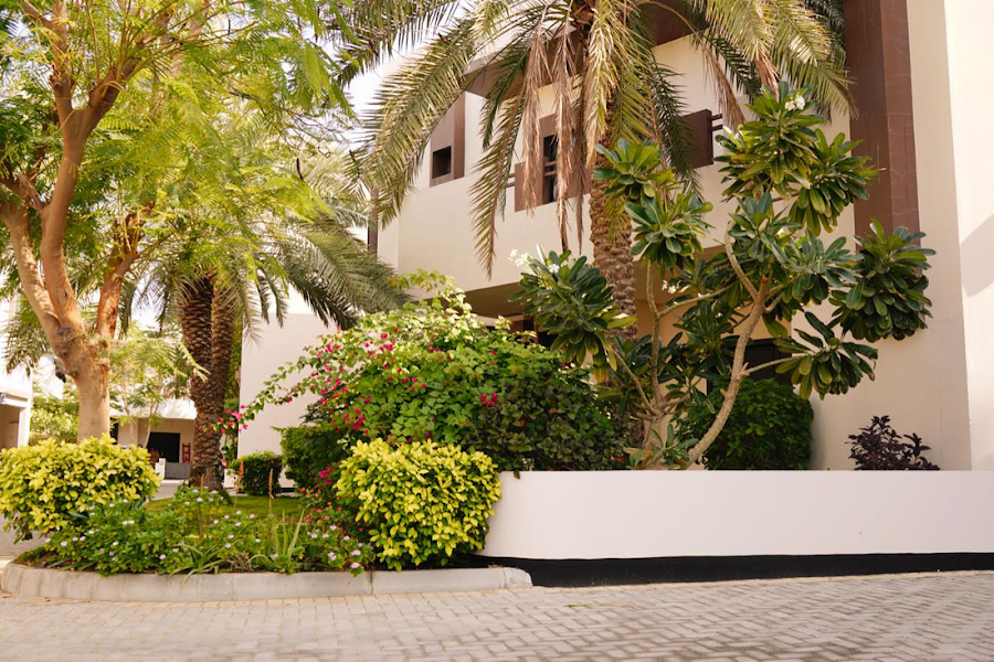 Lulwa Garden — photo 3