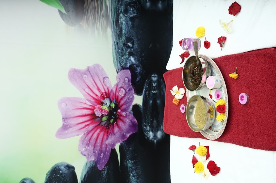Sayonara Spa — photo 3