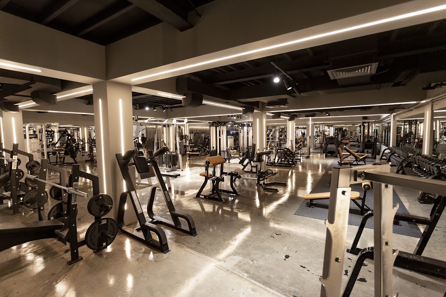 Train Fitness — photo 4
