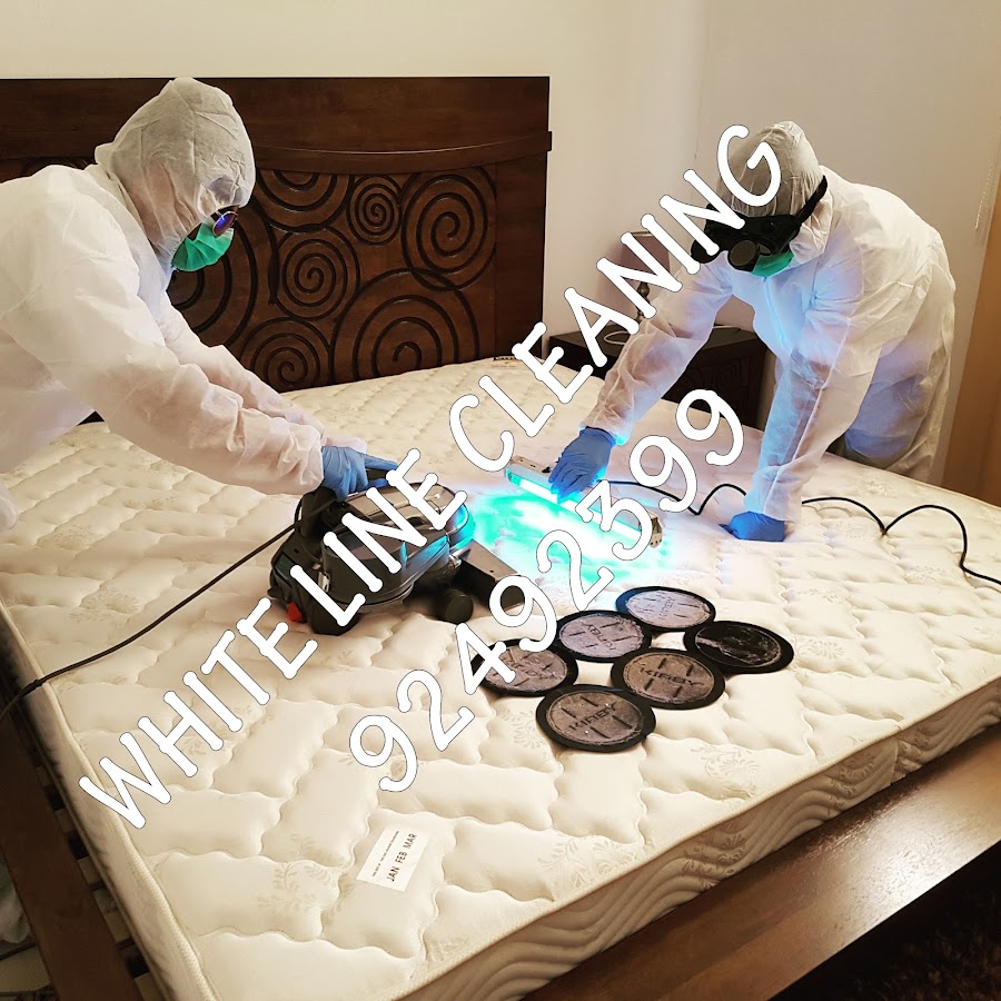 Whiteline Cleaning — photo 4