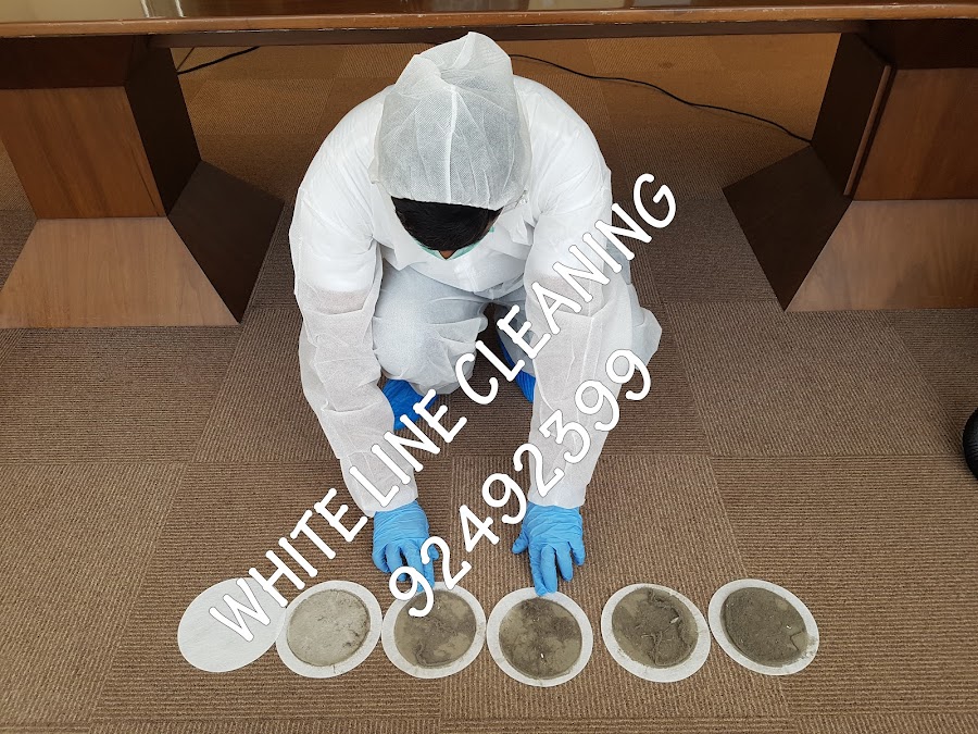 Whiteline Cleaning — photo 5