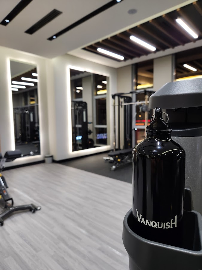 Vanquish — photo 3