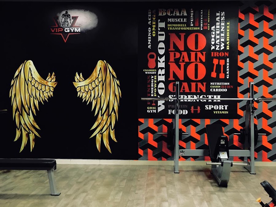 VIP GYM