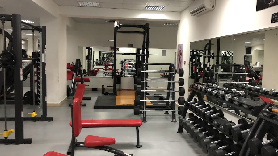 ELITE GYM — photo 2