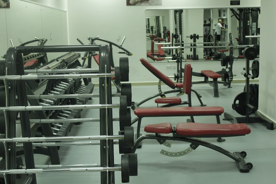 ELITE GYM — photo 3