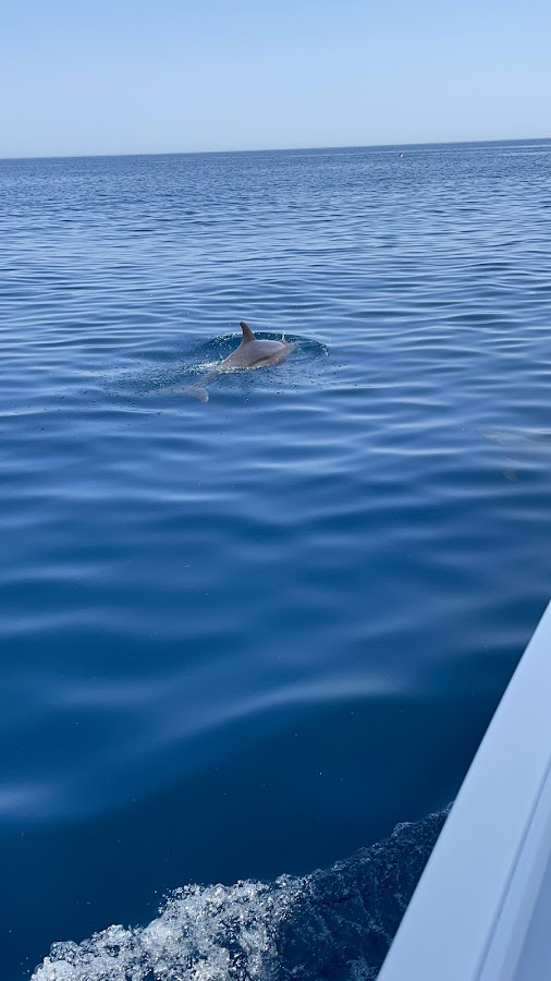 Coral Ocean Tours LLC — photo 2