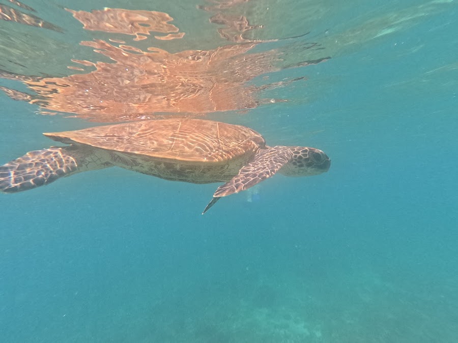 Marmar Boat Tours — photo 2
