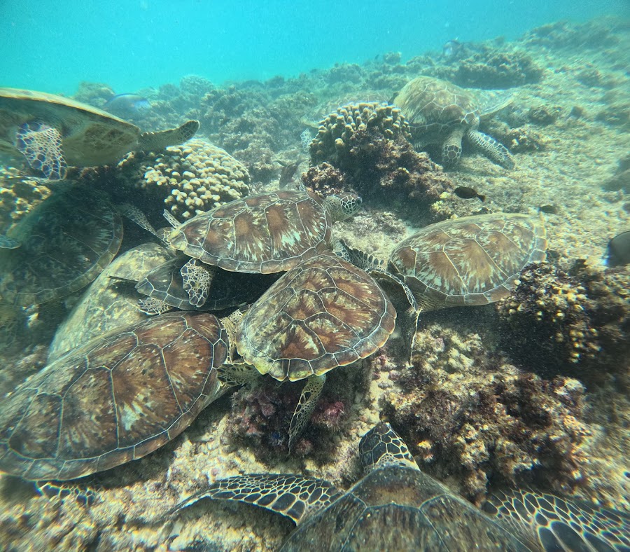 Marmar Boat Tours — photo 3