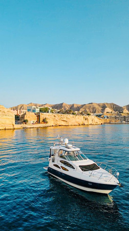 GCC Tours, Muscat - Dolphin Watching Offer — photo 2