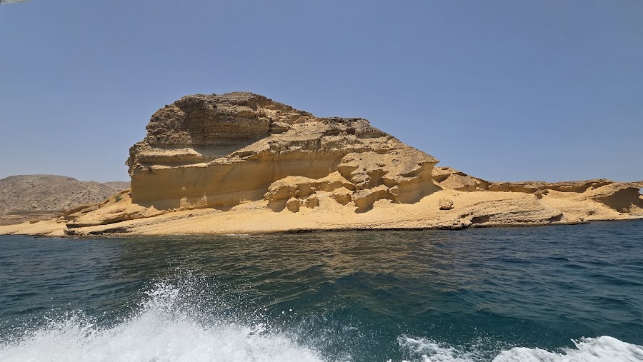GCC Tours, Muscat - Dolphin Watching Offer — photo 4