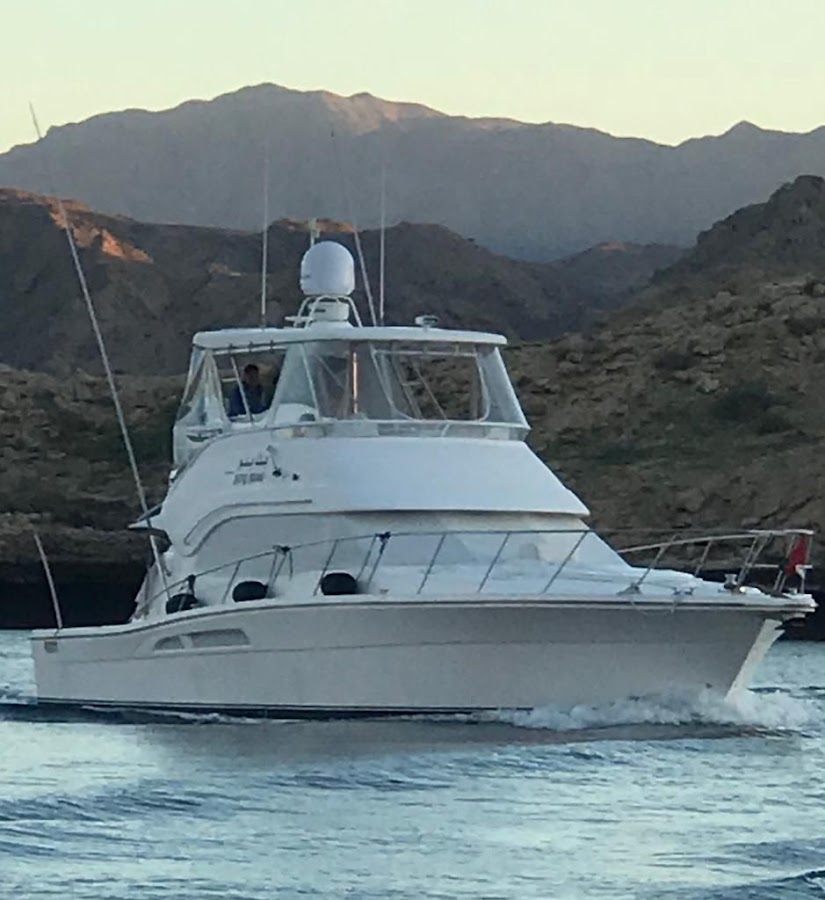 GCC Tours, Muscat - Dolphin Watching Offer — photo 5