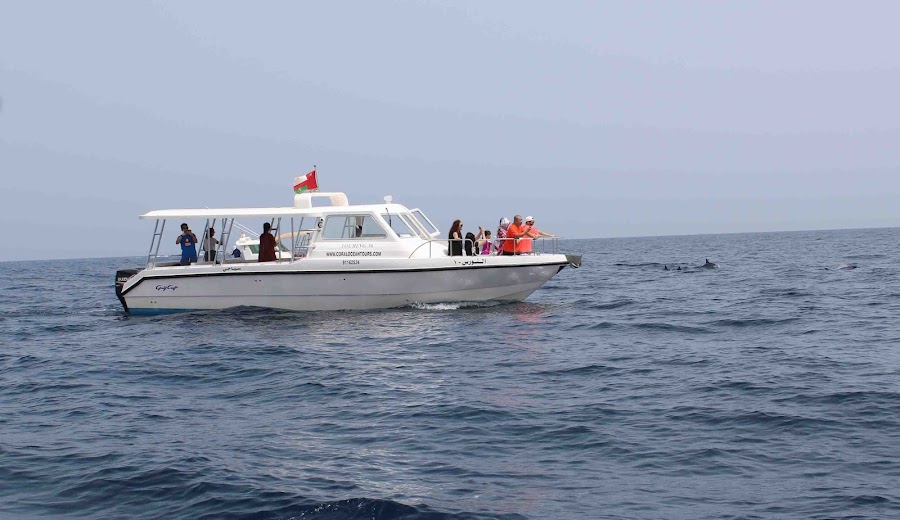 Ocean Tours Oman — photo 2