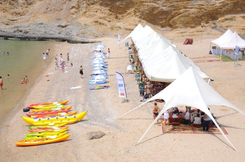 Dolphin Watching & Snorkeling Muscat - Discount Offer — photo 3