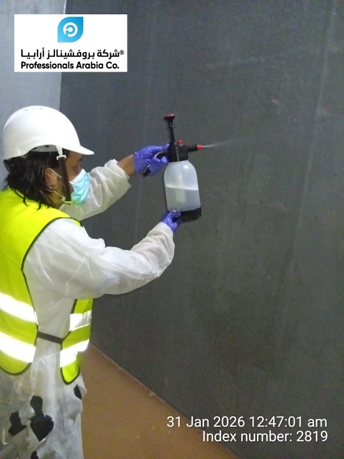 Professionals Arabia Company — photo 2