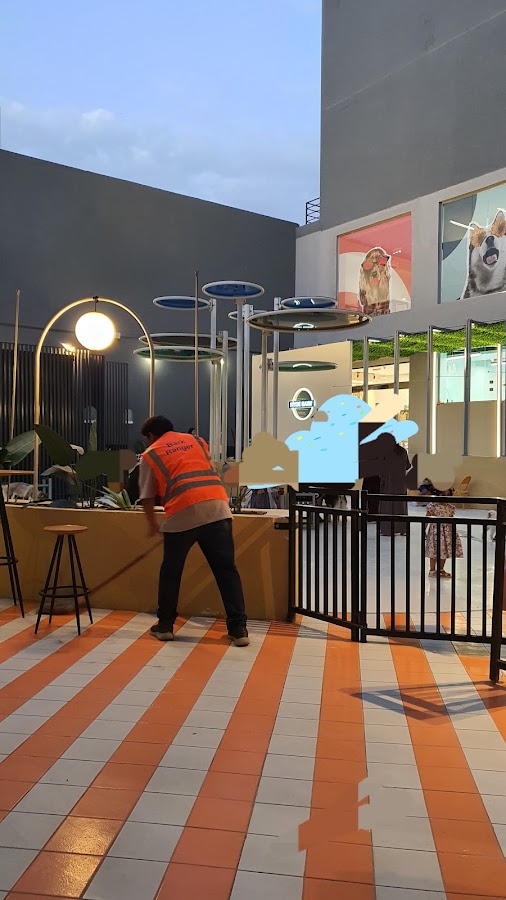 The Social Pup