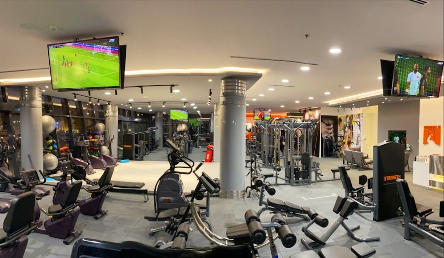 Muscle Gym