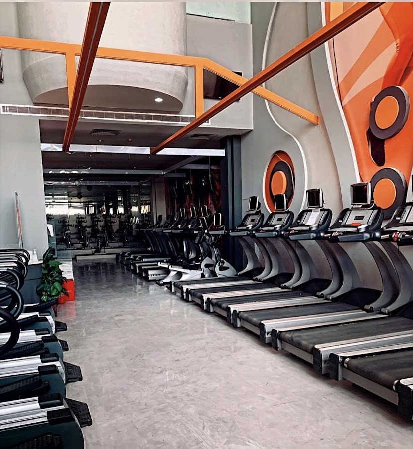 Dr. Fitness — photo 5